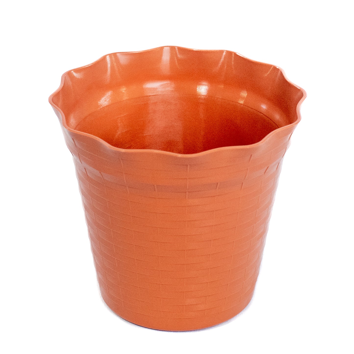 Maceta Mimbre Variados