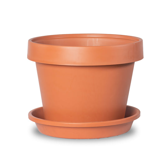 Tarros - Variedad de Tamaños con Bandeja