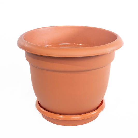 Macetero Terracota Fiore Variado