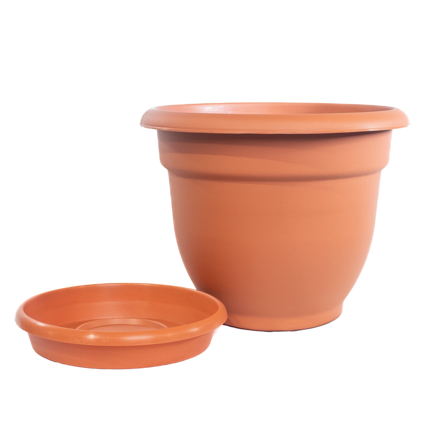 Macetero Terracota Fiore Variado